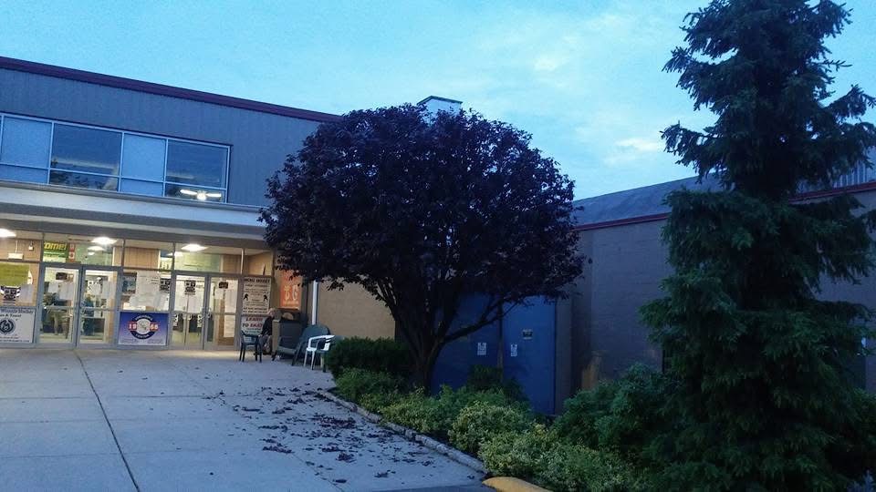 Commercial tree services