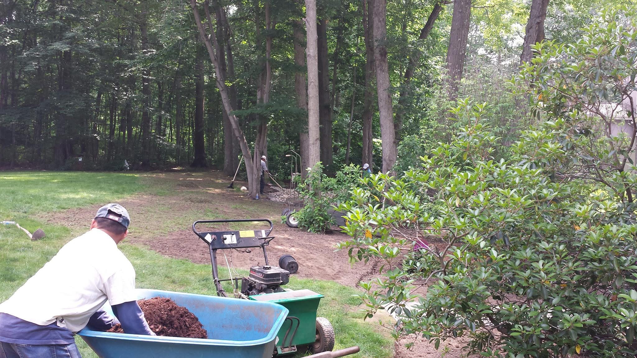 Mulching and planting