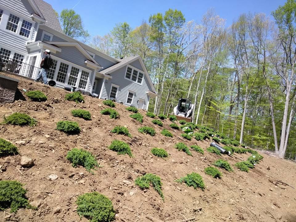 Mulching and planting